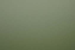 Альвиано SEA-13 коллекция Season   