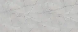 Каспий сильвер 735